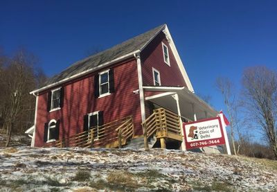Veterinary Services and Grooming | Delhi, NY | Veterinary Clinic